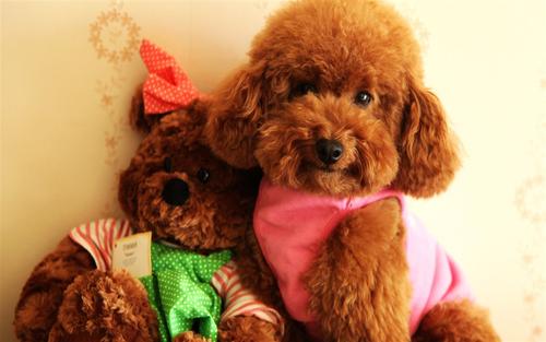 1606617014118444.jpg 5.jpg