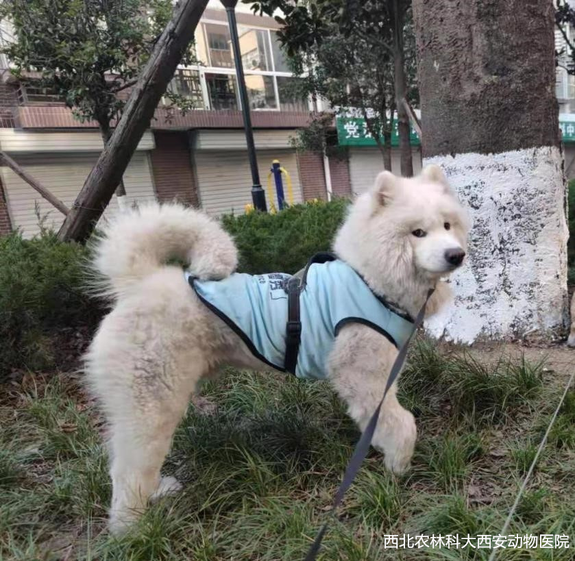 1616141425510572.jpg 11.jpg