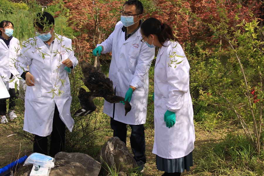 1620271930104463.jpg 4.jpg