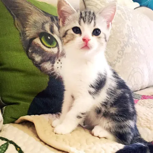 1630396282884819.jpg 12.jpg