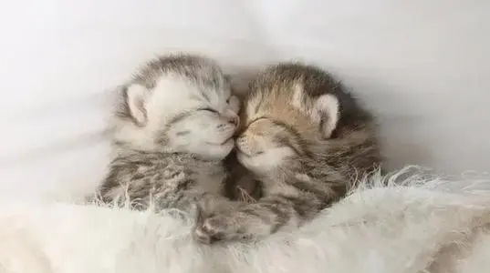 1630396296269594.jpg 13.jpg